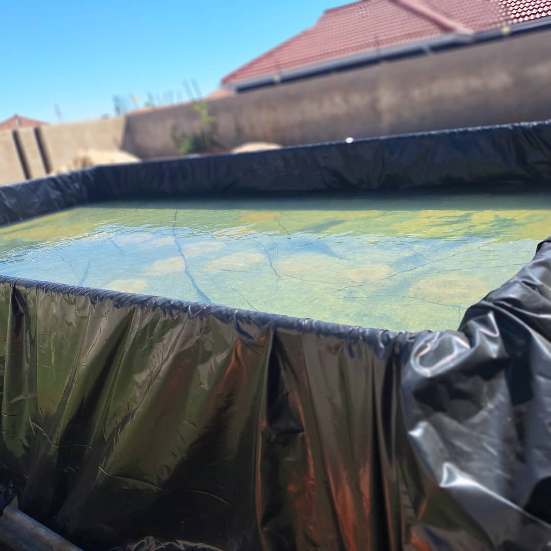 Fish Pond Construction